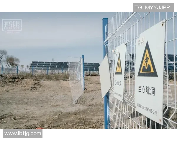 南京攀岩队的转型之路：从传统训练到现代竞技的全面升级